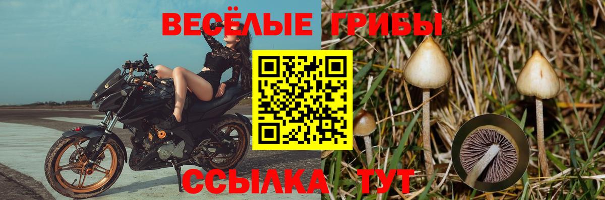 цена   Вход с VPN  Архангельск  Галлюциногенные грибы прущие грибы 